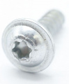 Miele Screw - Raised Head Screw 3x10 Wsh
